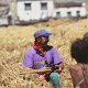 Tibet (3)